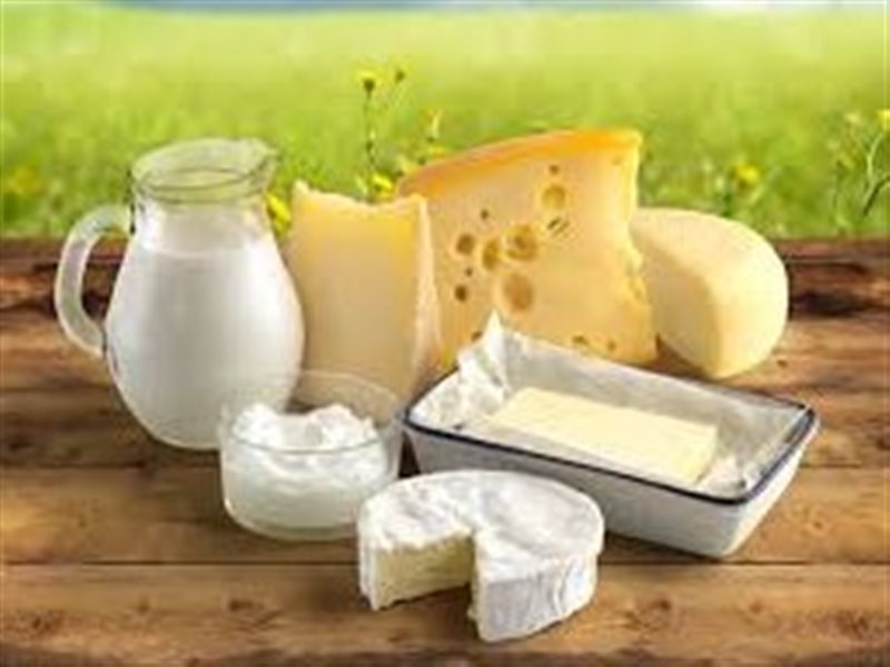 ألبان ومنتجاتها