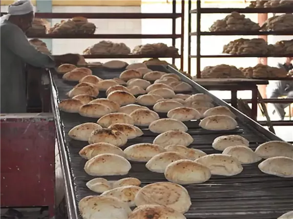 شعبة المخابز تحسم الجدل: رغيف الـ80 جراماً بـ2 جنيه لمواجهة غلاء الوقود