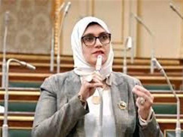 تحرك برلماني لدعم كبار السن.. النائبة مروة هاشم تطالب برفع الحد الأدنى للمعاشات