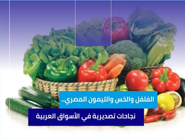 الفلفل والخس والليمون المصري.. نجاحات تصديرية في الأسواق العربية