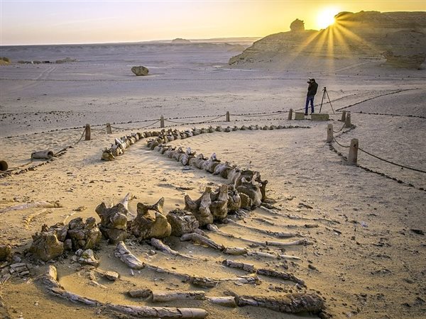 في عيدها القومي.. الفيوم ترسم خارطة استثمارية واعدة تجمع بين الإرث السياحي والنهضة الصناعية
