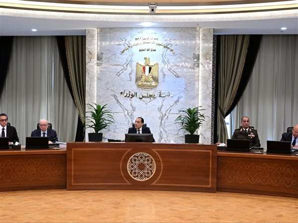 الحكومة تقرر حظر المكافآت والمؤتمرات والسفر للخارج إلا في الضرورة القصوى