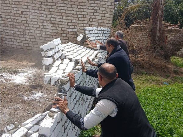 تنسيق بين الزراعة والأجهزة التنفيذية بسوهاج لحماية الأمن الغذائي المصري 