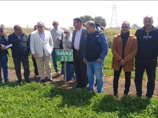 رئيس البحوث الزراعية يتابع إنتاج هجن تقاوي الطماطم والقمح بكفر الشيخ