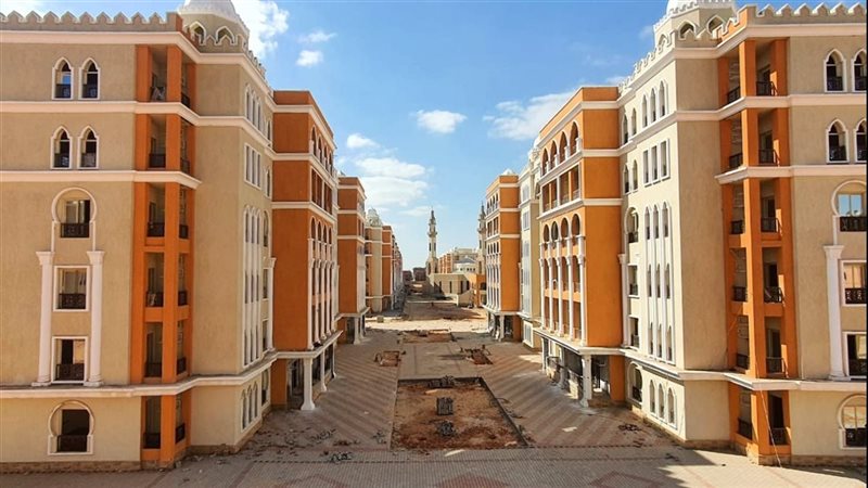 مشروع زهور دارة 