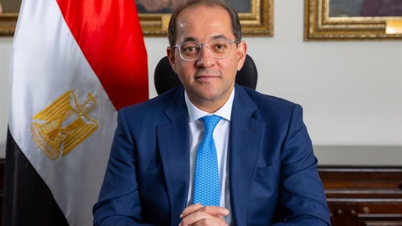 وزير المالية