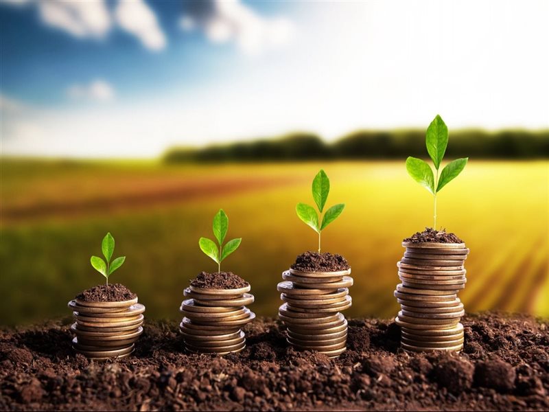 استثمار زراعي