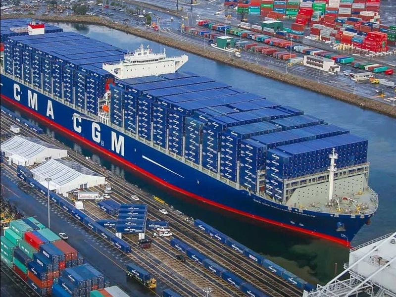 شعبة النقل الدولي