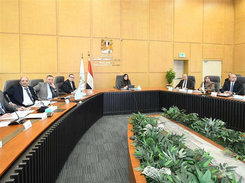 راندة المنشاوي وزيرة