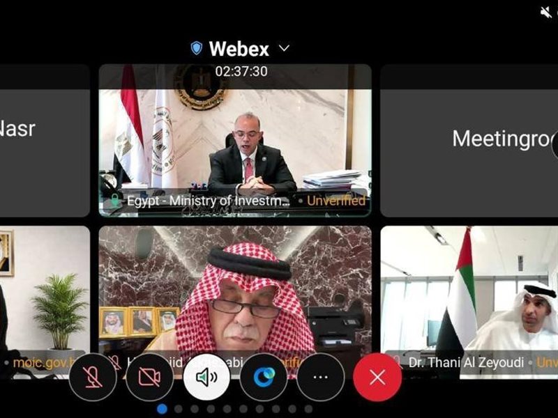  محمد فريد صالح، وزير الاستثمار 