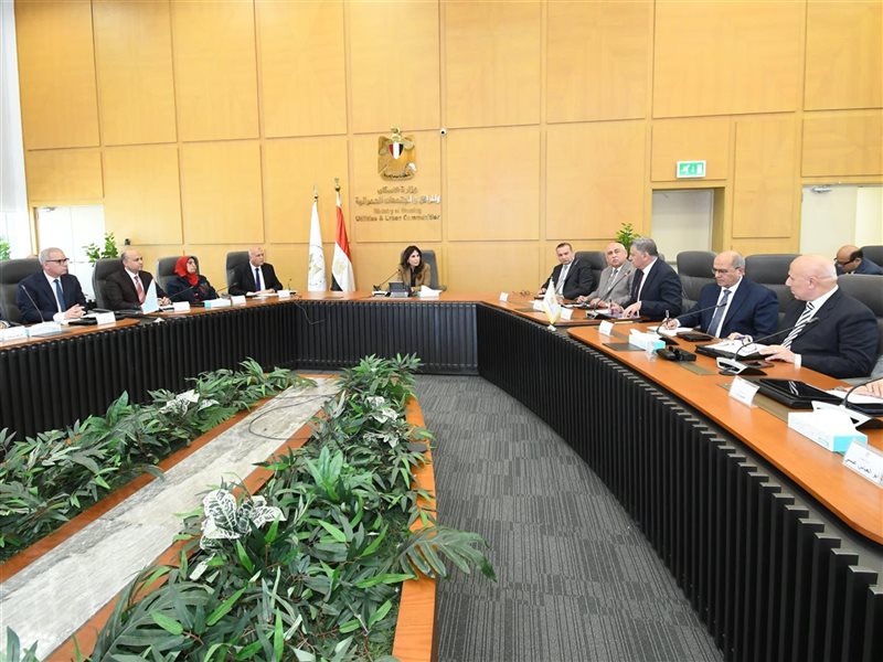 راندة المنشاوي وزيرة