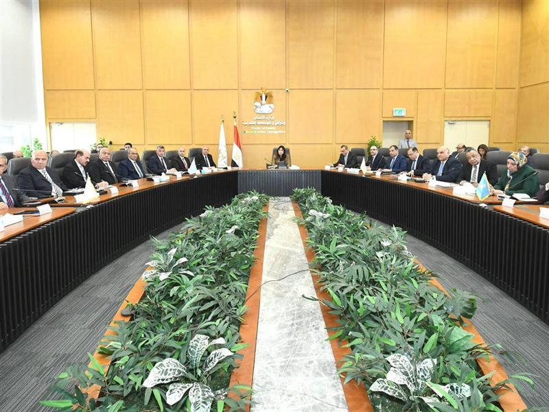 راندة المنشاوي وزيرة