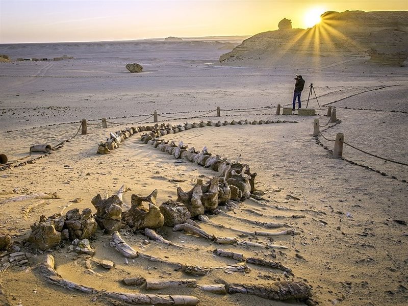 محمية وادي الحيتان