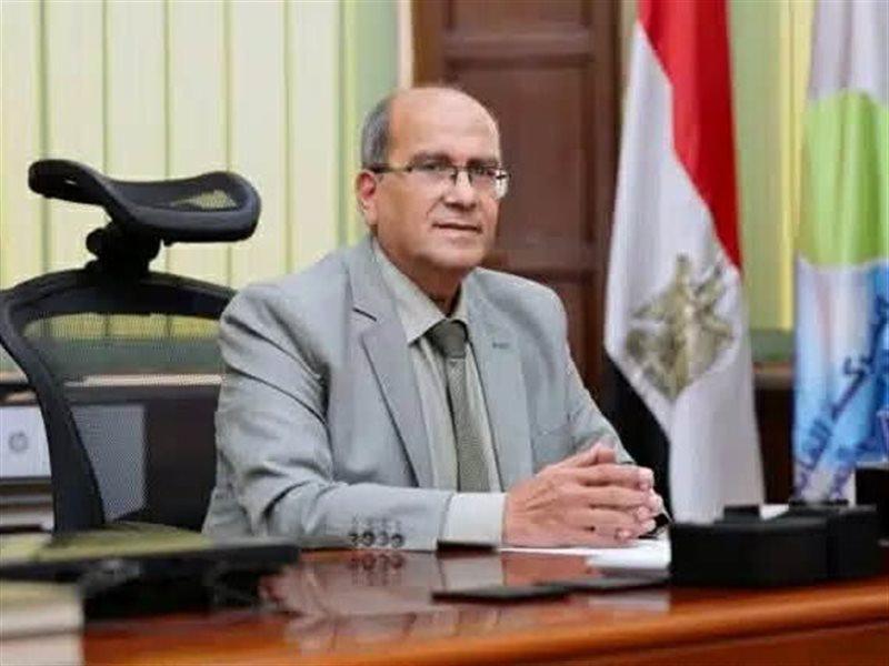 رئيس الشركة القابضة