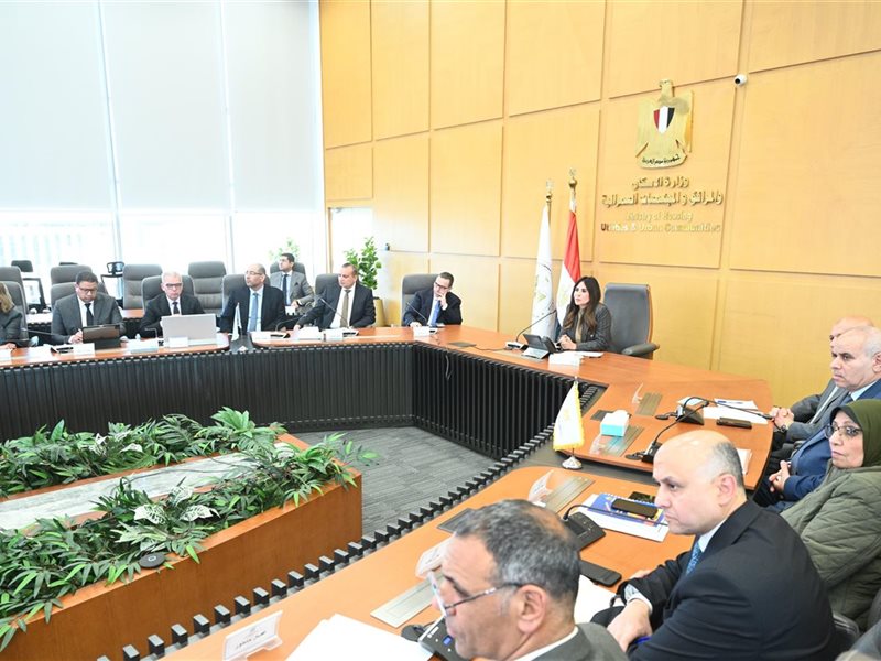 راندة المنشاوي وزيرة