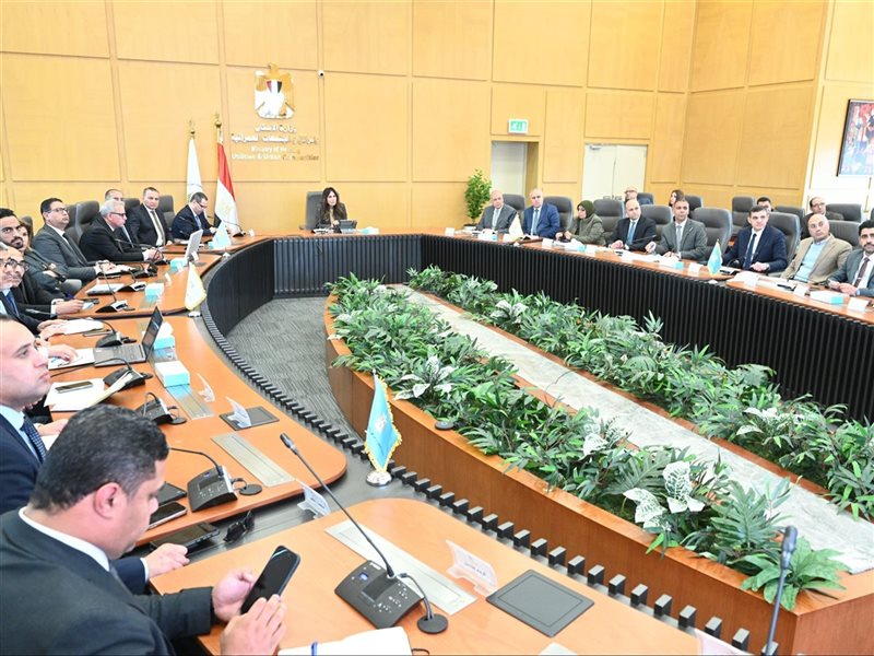 راندة المنشاوي وزيرة