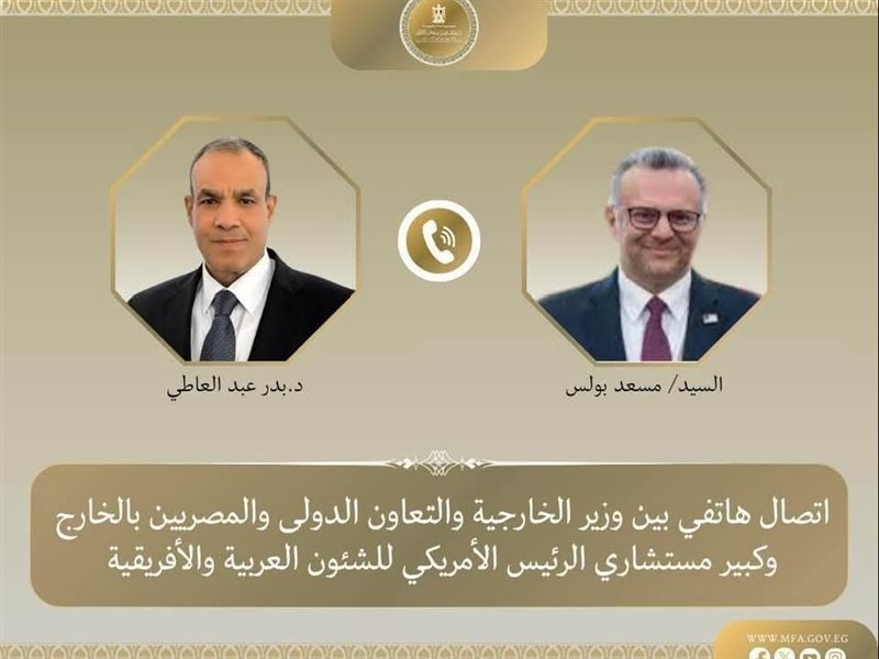 وزير الخارجية المصري 