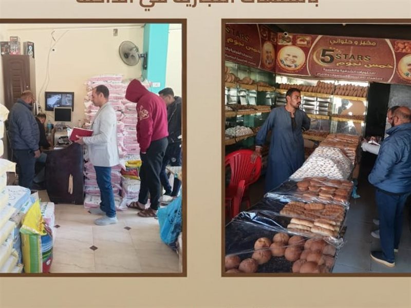 حملة تفتيشية