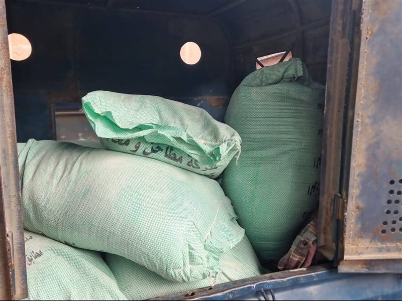 خلال حملة اليوم