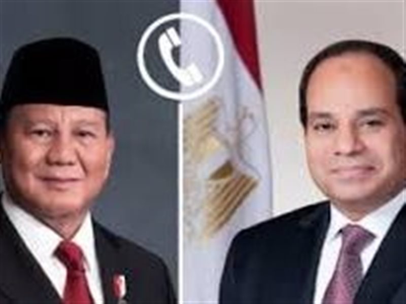 الرئيس المصري ونظيره