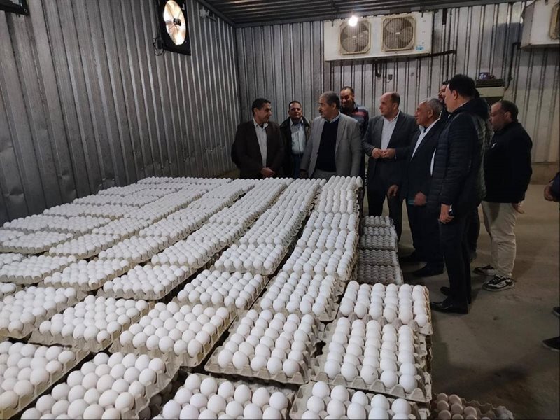 بيض المائدة