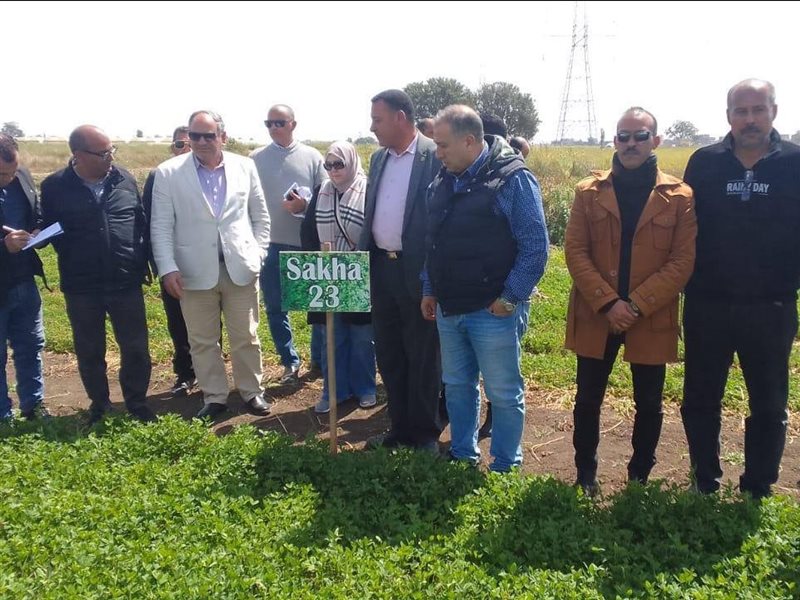 رئيس مركز البحوث الزراعية