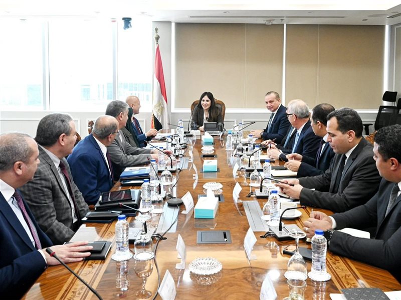 راندة المنشاوي وزيرة