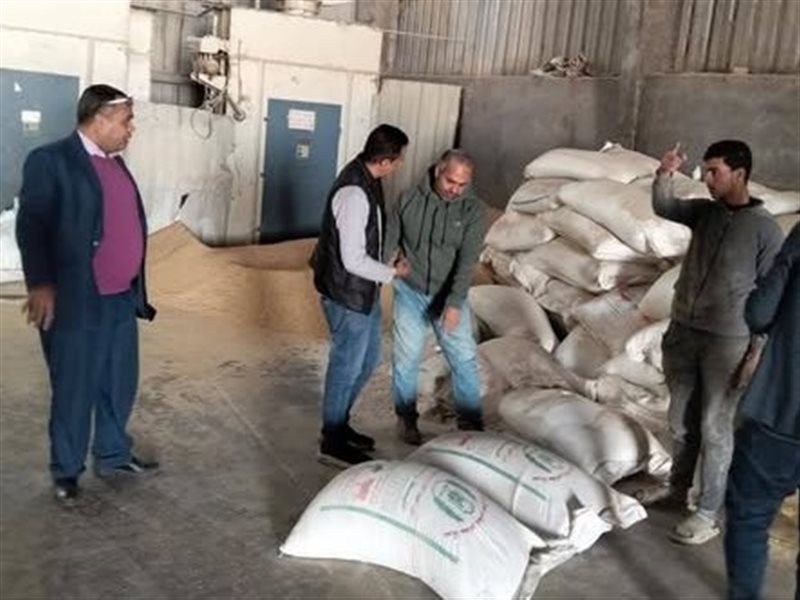 حملات التفتيش