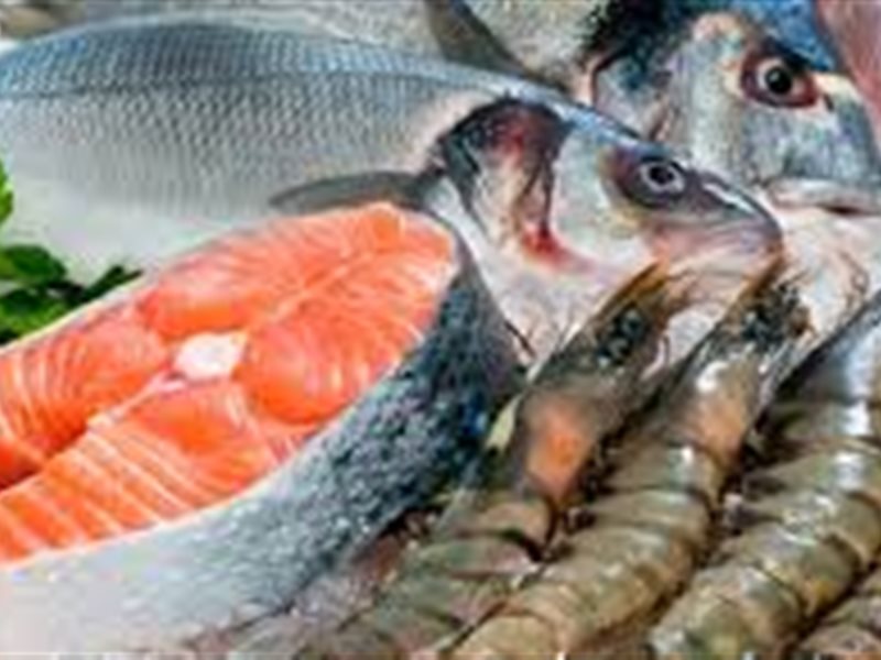 أسماك متنوعة