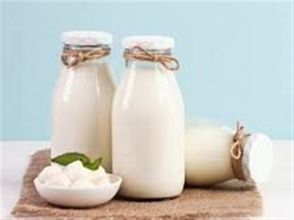 أسعار الألبان اليوم.. استقرار في الأسواق واختلافات طفيفة حسب المناطق