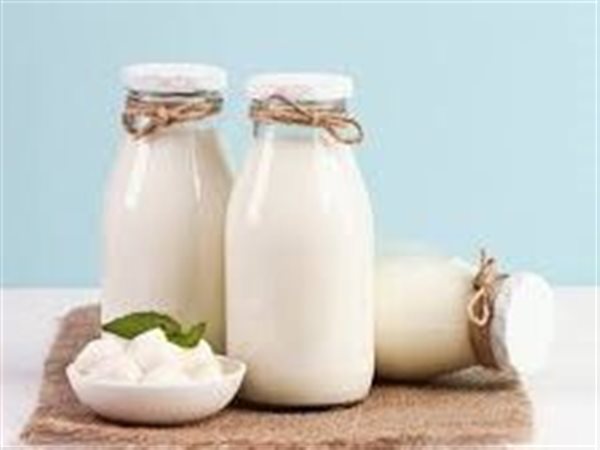 استقرار نسبي في أسعار الألبان بالأسواق المحلية لليوم الجمعة