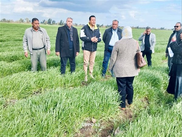 بتكليفات من