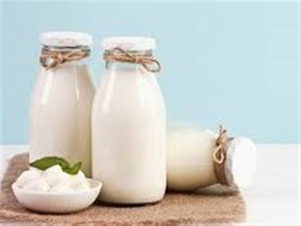 تحديثات أسعار الألبان في الأسواق المحلية