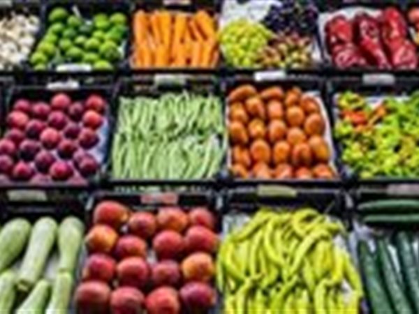 أسعار الخضروات والفاكهة في القاهرة اليوم الثلاثاء 31 مارس 2026.. تراجع الطماطم