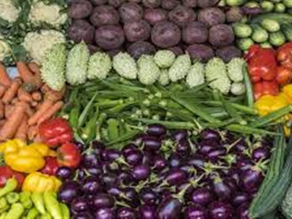 أسعار الخضروات اليوم في سوق العبور.. والطماطم بين 12 و22.5 جنيهًا