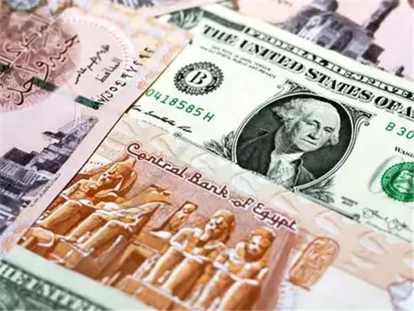  محمد علي: رفع الفائدة وشهادات بعائد مغرٍ ضرورة لتعزيز الجنيه ومواجهة التضخم