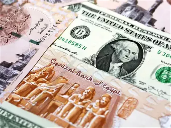 تراجع نمو الاقتصاد المحلي إلى 4.9% يدفع البنك المركزي لتعليق دورة التيسير النقدي