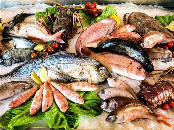 تباين في أسعار الأسماك بسوق العبور.. الجمبري والماكريل يرتفعان والبلطي يسجل تراجعًا طفيفًا