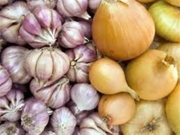 وزير الزراعة يعلن فتح أسواق 