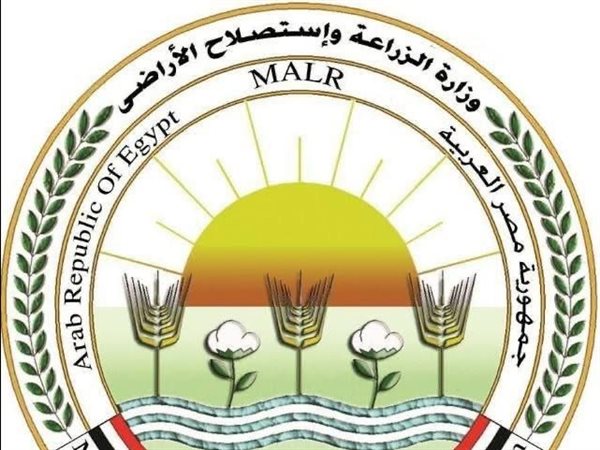 الزراعة: ضبط 71 طن أسماك مملحة ومدخنة غير صالحة وتحرير 177 محضرًا قبل شم النسيم