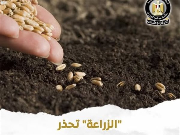 وزارة الزراعة تحذر من الإعلانات المضللة لتقاوي غير معتمدة