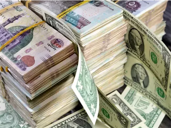 الخبير الاقتصادي: القمع المالي الناعم يقلل من قيمة مدخرات المواطنين