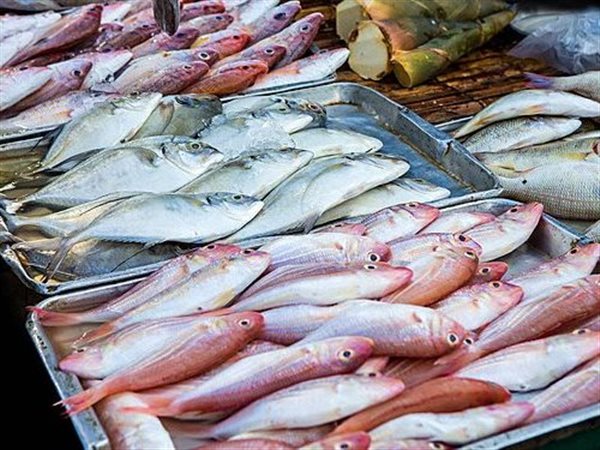 ارتفاع ملحوظ في أسعار الجملة للأسماك والمأكولات البحرية بتعاملات الخميس.. البلطي بـ 77 والجمبري بـ 1200 جنيهًا