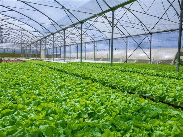 مشروع الاستثمارات الزراعية المستدامة