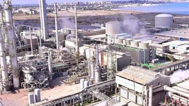 المصانع المصرية