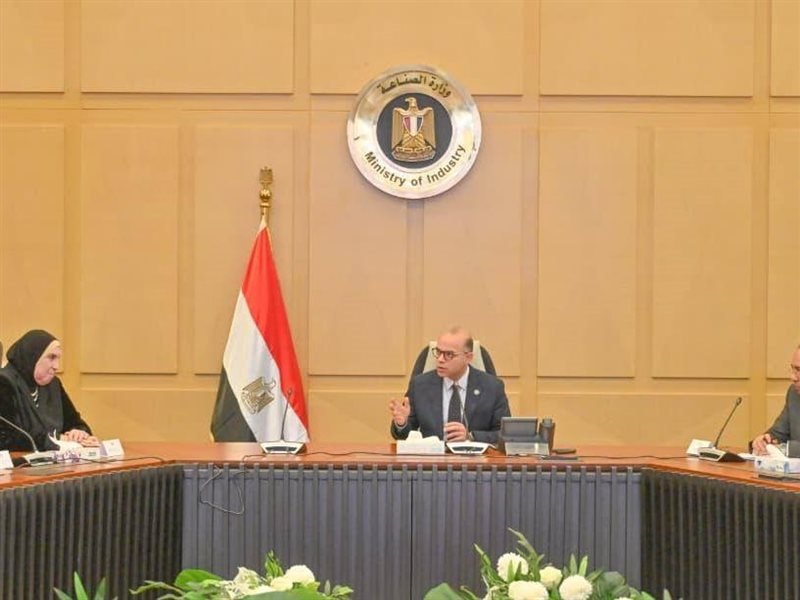 محمد فريد، وزير الاستثمار