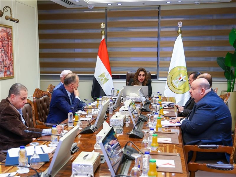 منال عوض، وزيرة التنمية