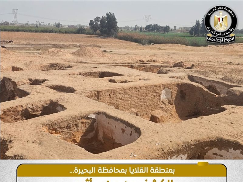 البعثة الأثرية المصرية