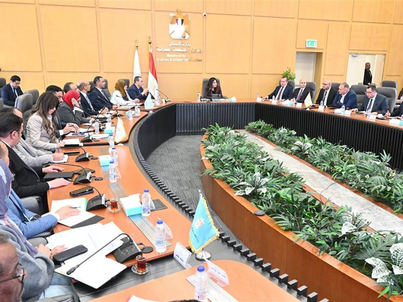 راندة المنشاوي وزيرة