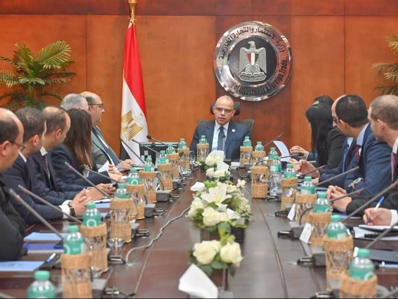 محمد فريد، وزير الاستثمار